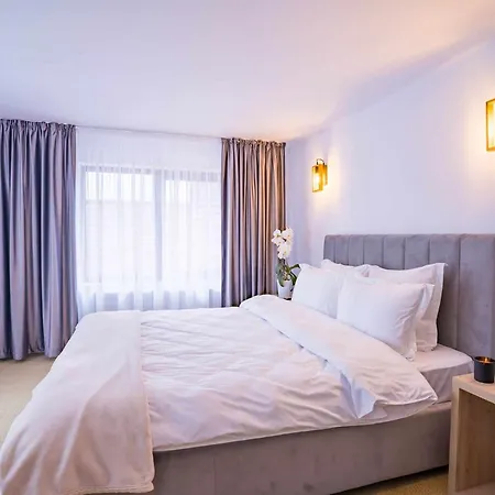 Casa Zuz Voronet Guest house